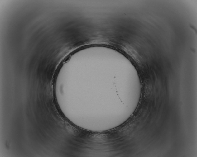 X0000092291268200710041422