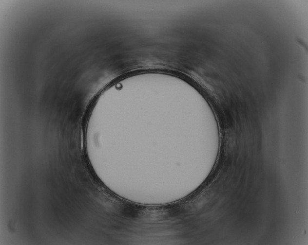 X0000092291269200710041422