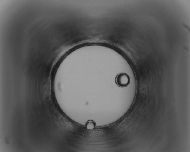 X0000092291270200710041422