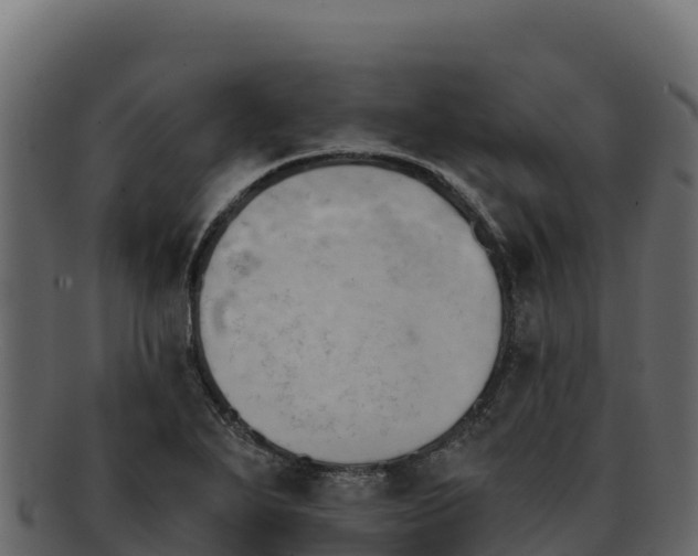 X0000092291271200710041422