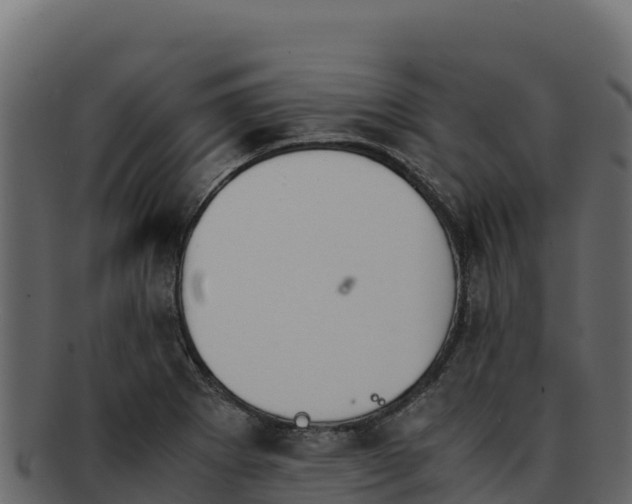 X0000092291273200710041422