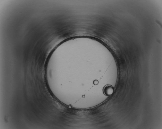 X0000092291277200710041422