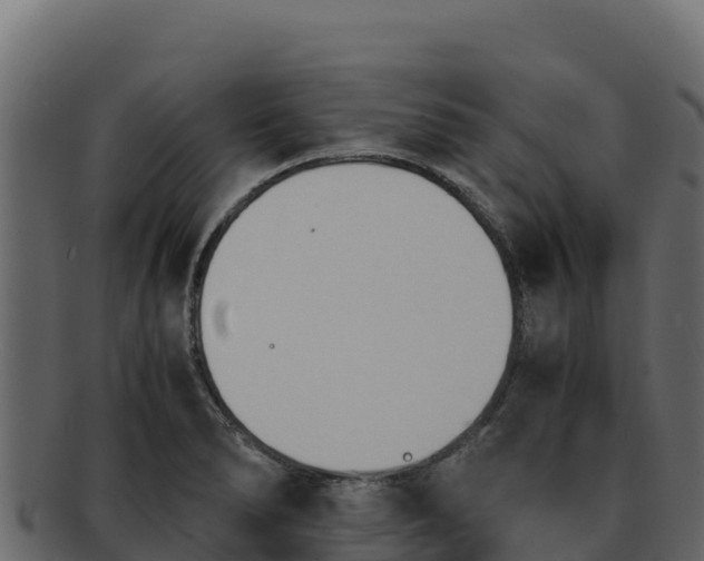 X0000092291278200710041422