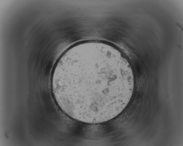 X0000092291279200710041422