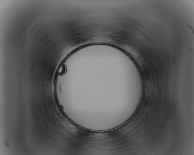 X0000092291280200710041422