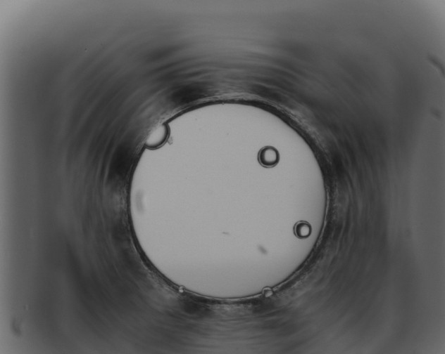 X0000092291281200710041422