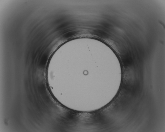 X0000092291282200710041422