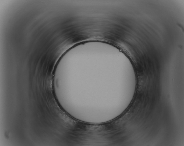 X0000092291284200710041422