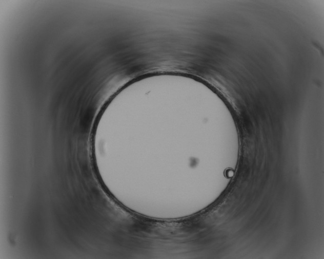 X0000092291285200710041422