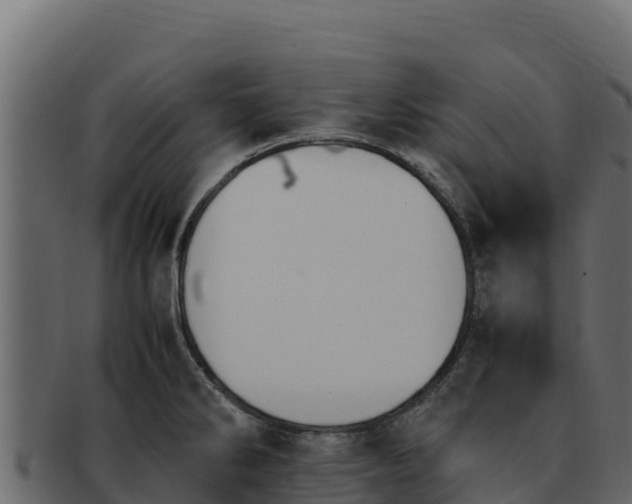 X0000092291286200710041422