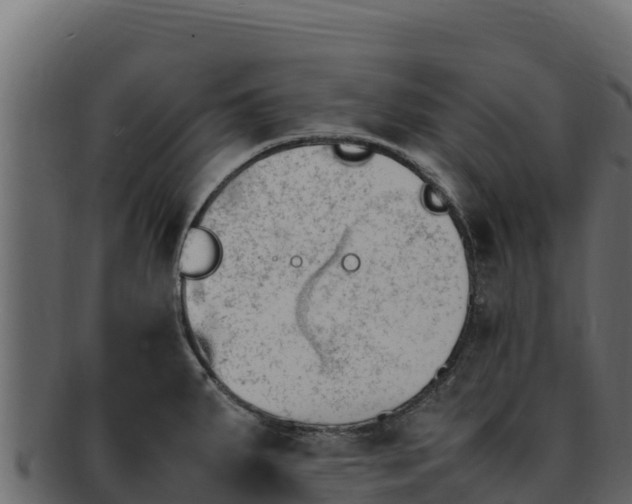 X0000092291287200710041422