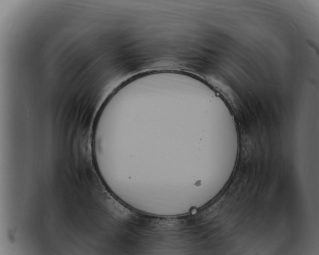 X0000092291288200710041422