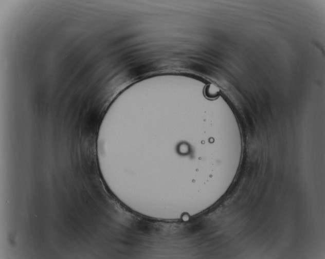 X0000092291289200710041422