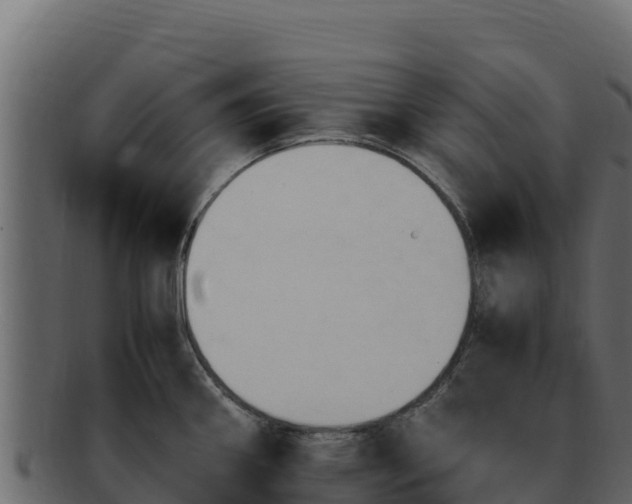 X0000092291290200710041422