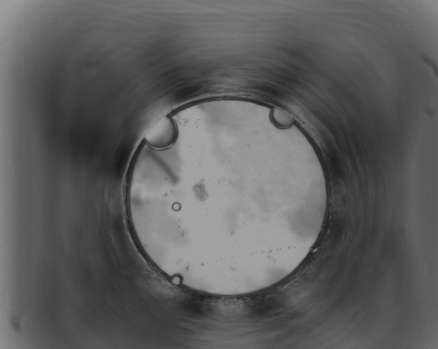 X0000092291291200710041422