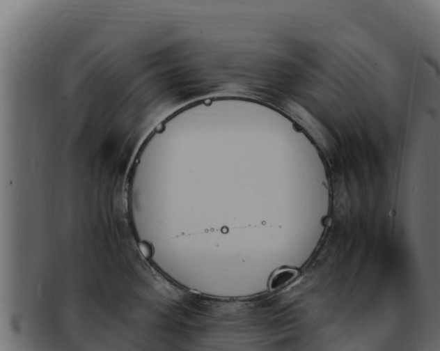 X0000092291292200710041422