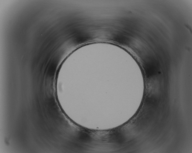 X0000092291294200710041422