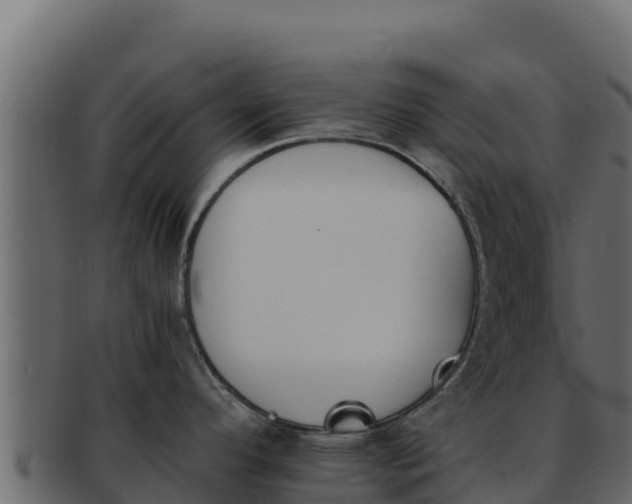 X0000092291296200710041422