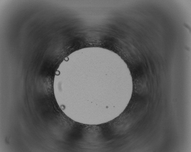 X0000092291298200710041421