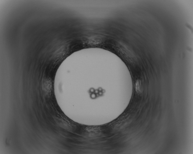 X0000092291299200710041421