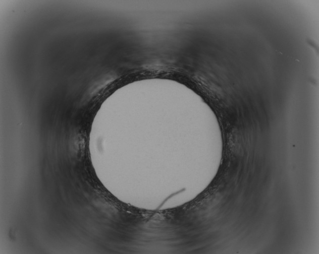 X0000092291302200710041421