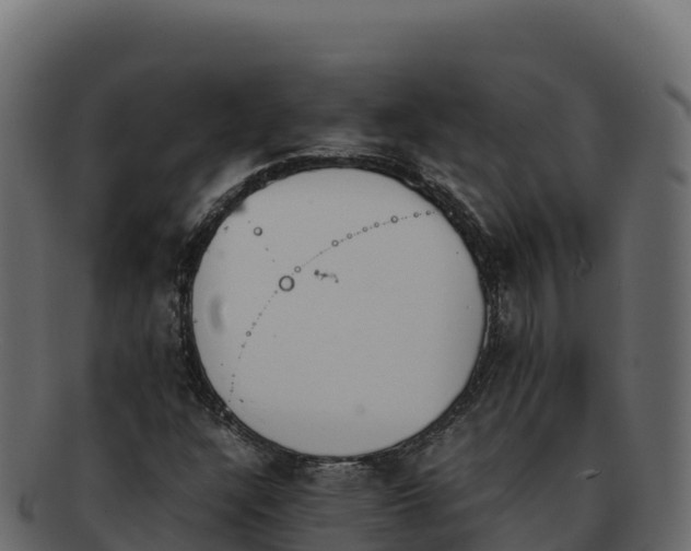 X0000092291304200710041421