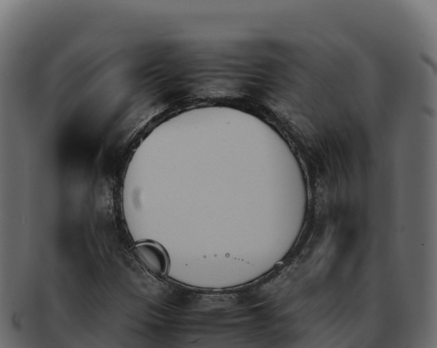 X0000092291305200710041421