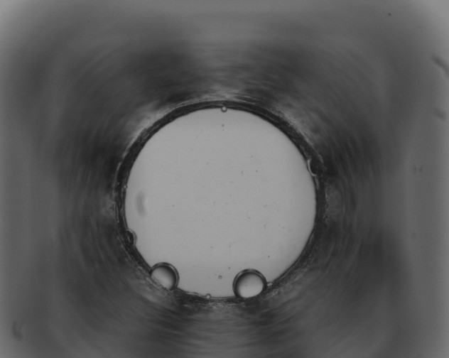 X0000092291308200710041422