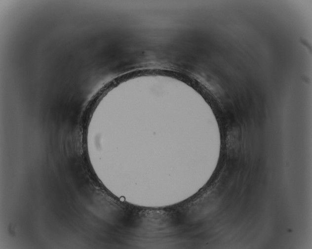 X0000092291310200710041422