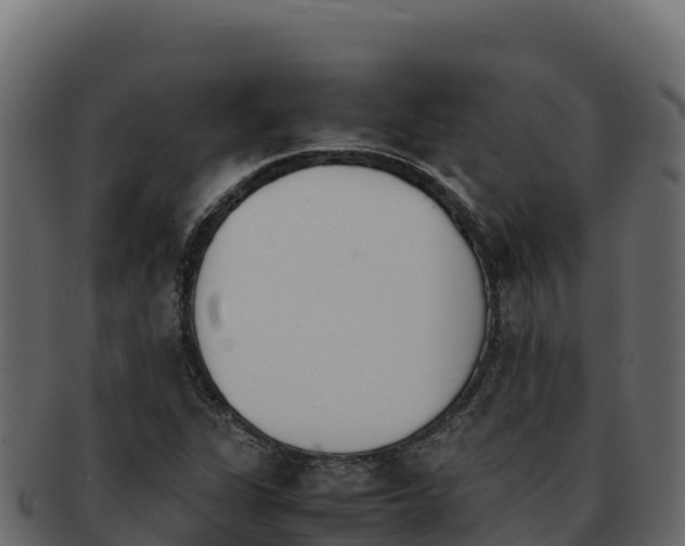 X0000092291311200710041422