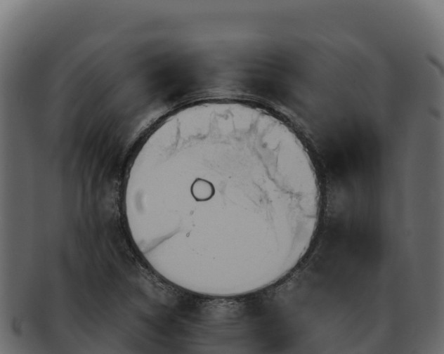 X0000092291314200710041422