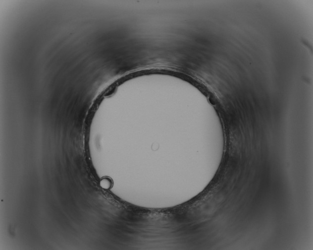 X0000092291316200710041422