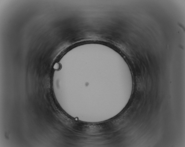 X0000092291318200710041422