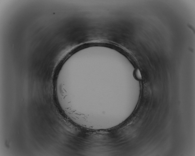 X0000092291319200710041422