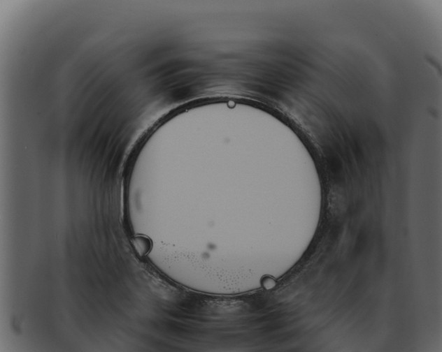 X0000092291323200710041422