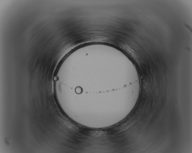 X0000092291324200710041422