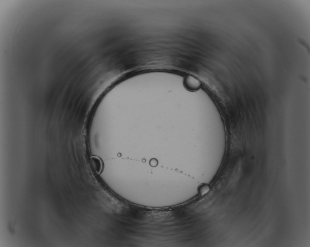 X0000092291325200710041422