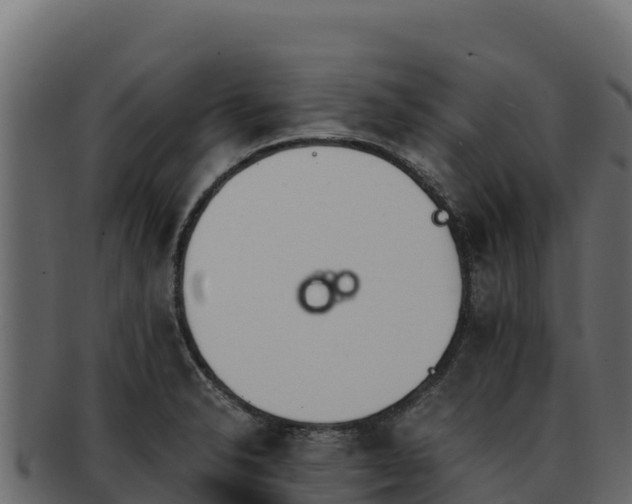 X0000092291326200710041422