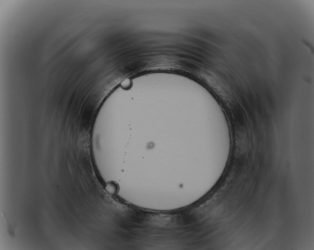 X0000092291329200710041422