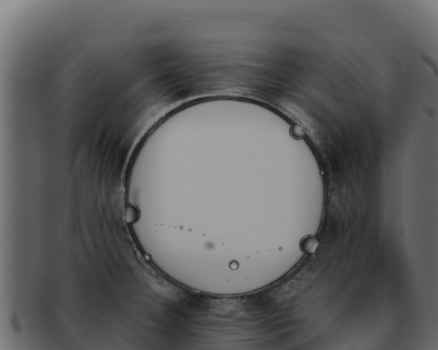 X0000092291332200710041422