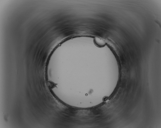 X0000092291333200710041422