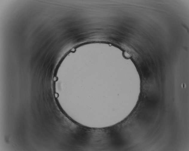 X0000092291334200710041422