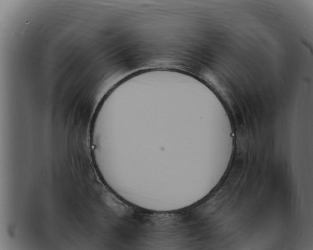 X0000092291336200710041422