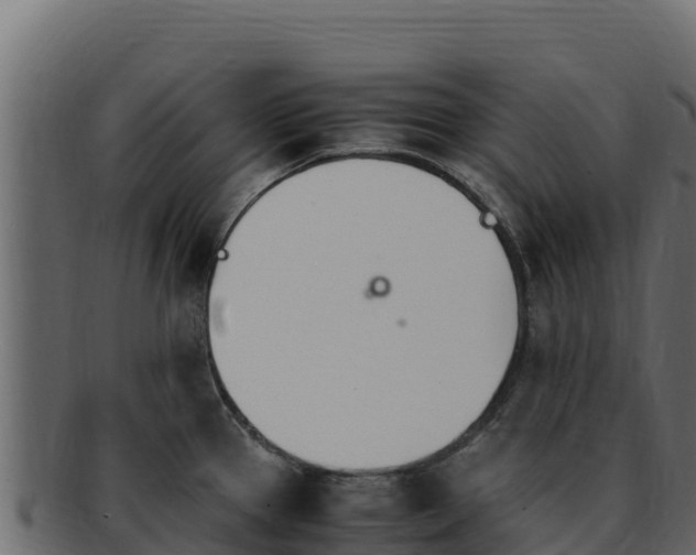 X0000092291337200710041422