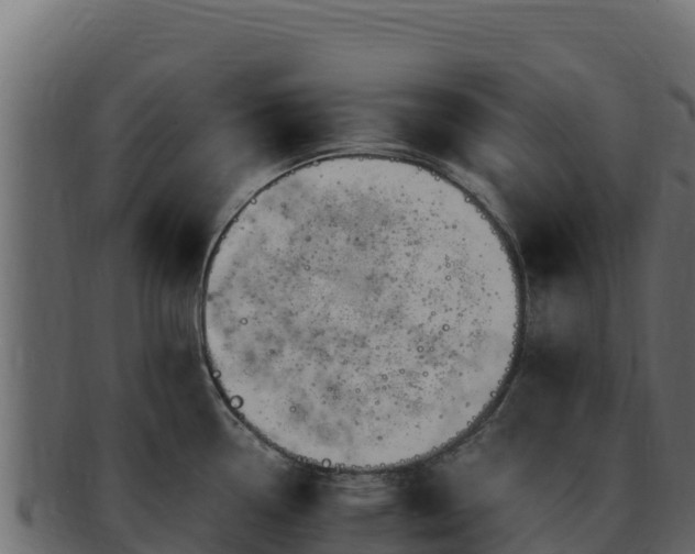 X0000092291338200710041422