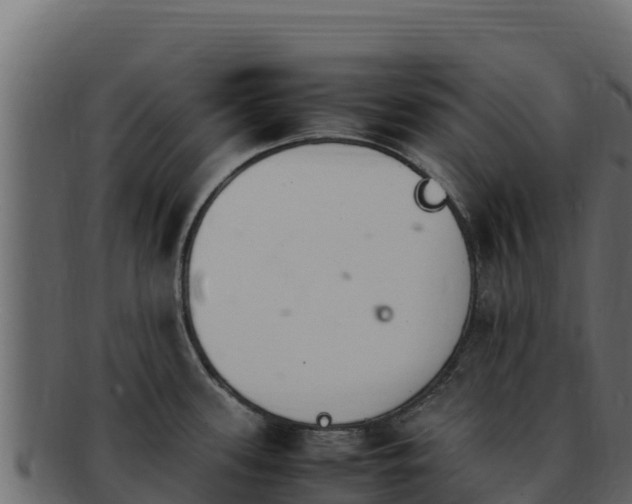 X0000092291339200710041422