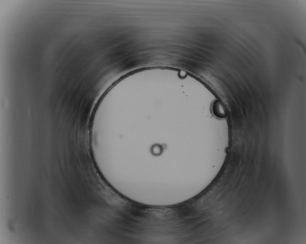 X0000092291340200710041422