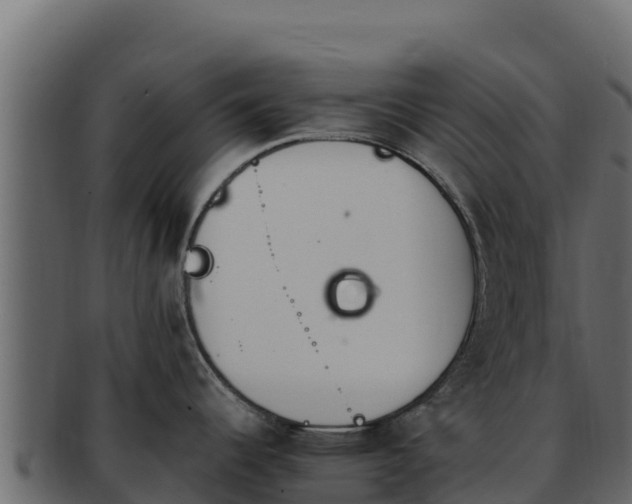 X0000092291344200710041422