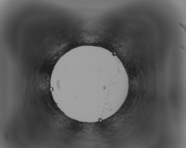 X0000092291349200710041421