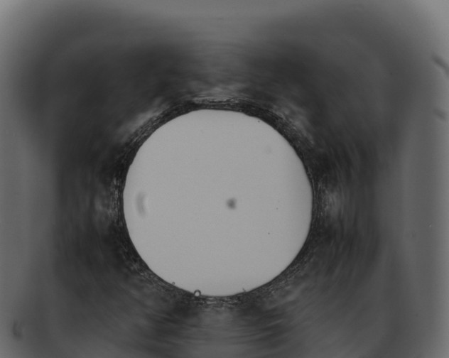 X0000092291350200710041421